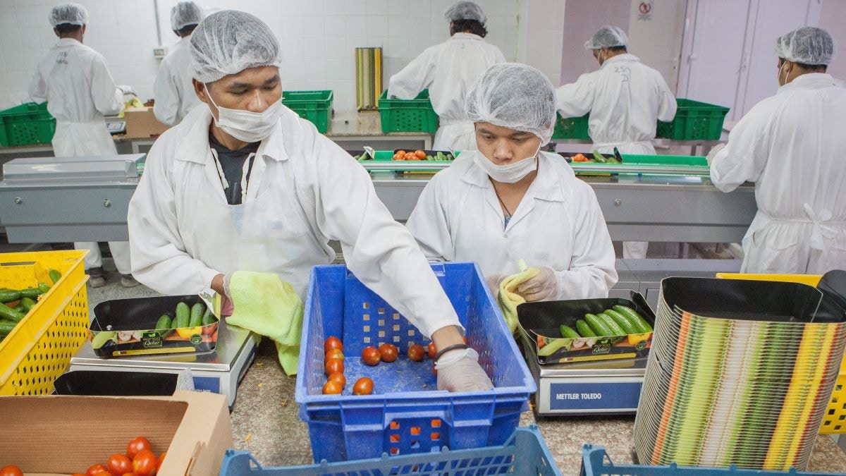 Extra arbeidsmigranten richting 2050, stelt het CPB. Foto: Shutterstock