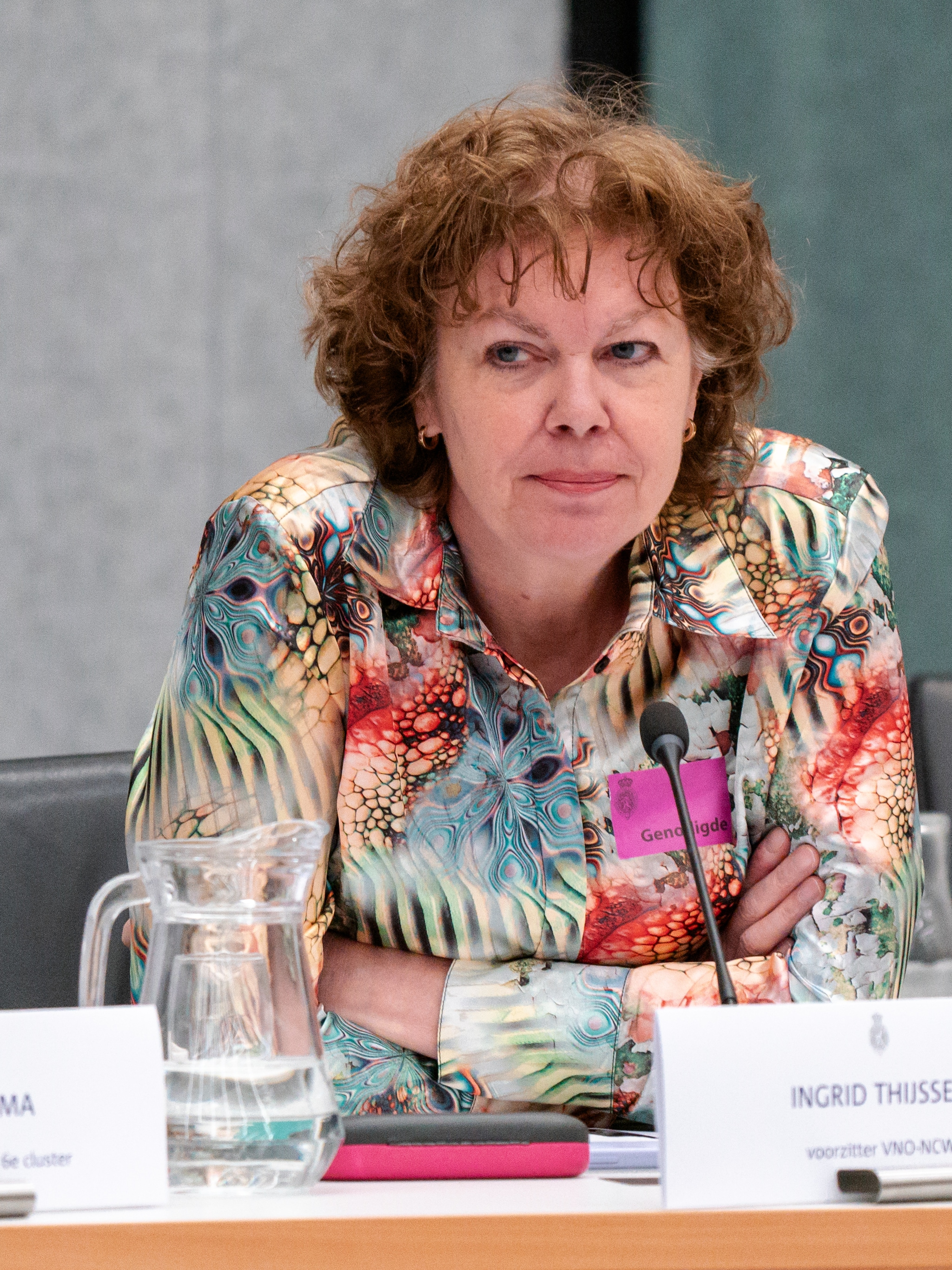 ingrid thijssen vnoncw thorbeckelezing nederland investeringsklimaat