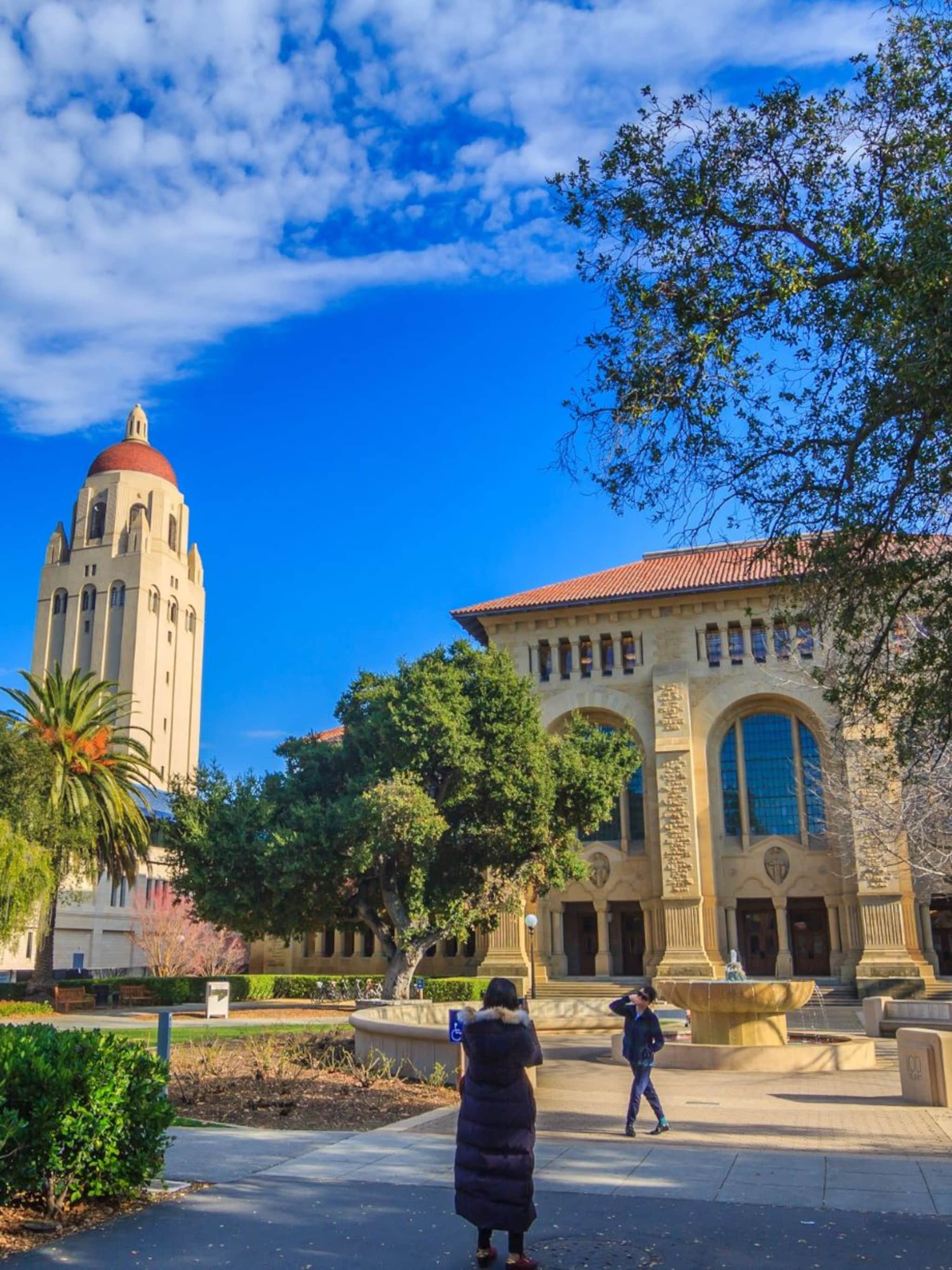 wibe wagemans waarom stanford het beter doet dan heel nederland