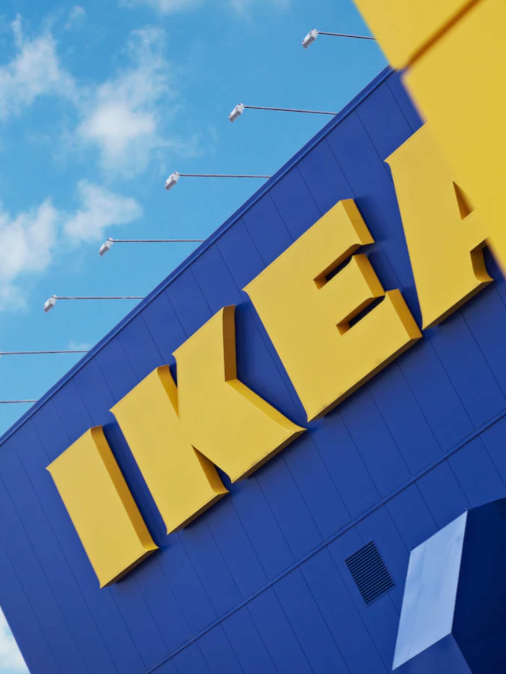 ikea albert heijn en dirk zijn de meest invloedrijke merken van 2024