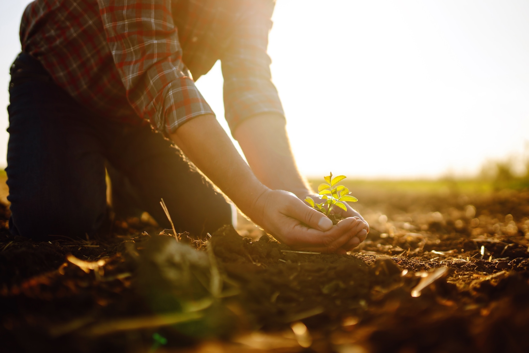 Natuurlijke landbouw. Shutterstock