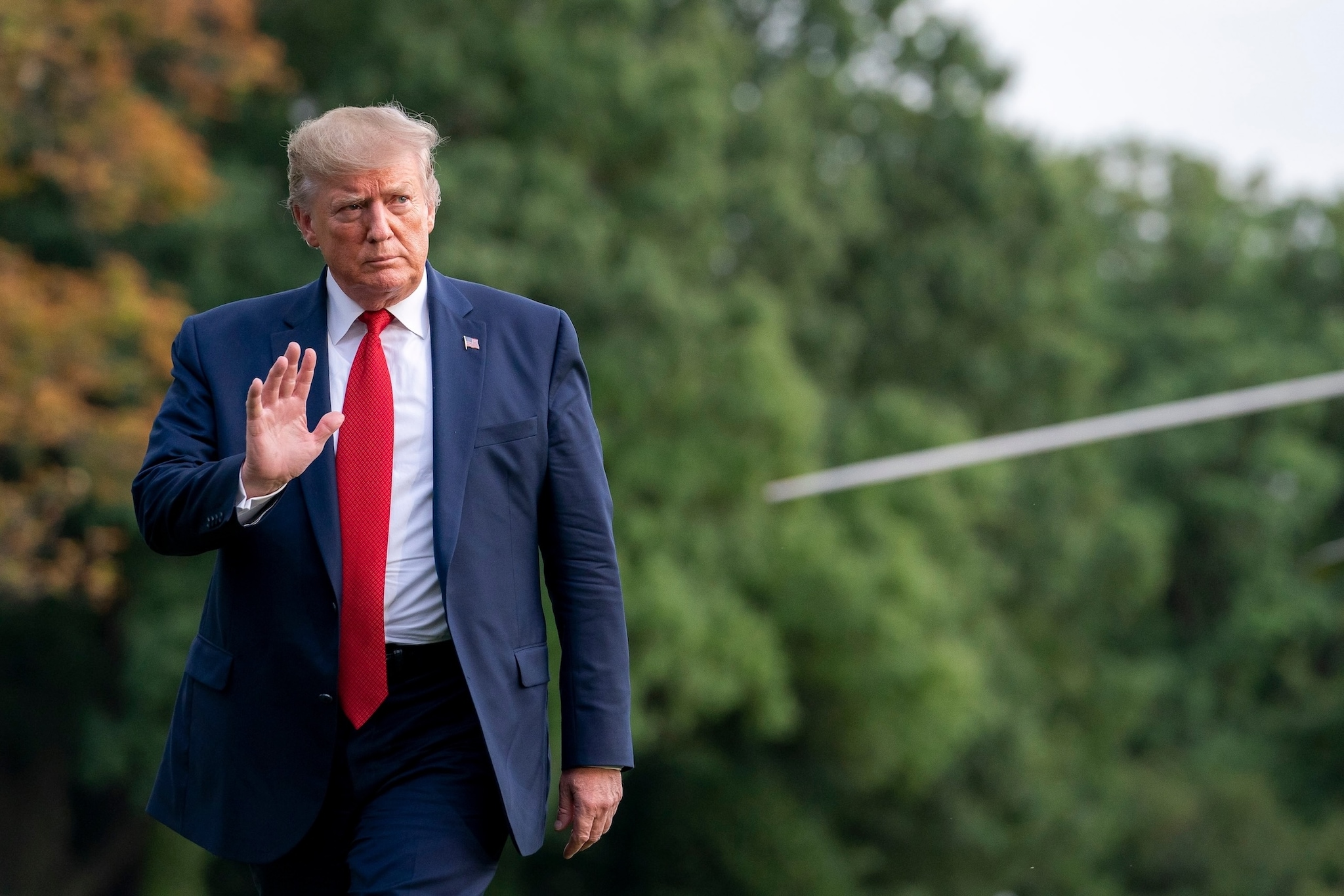 Donald Trump. Foto: Shutterstock Donald Trump. Foto: Shutterstock