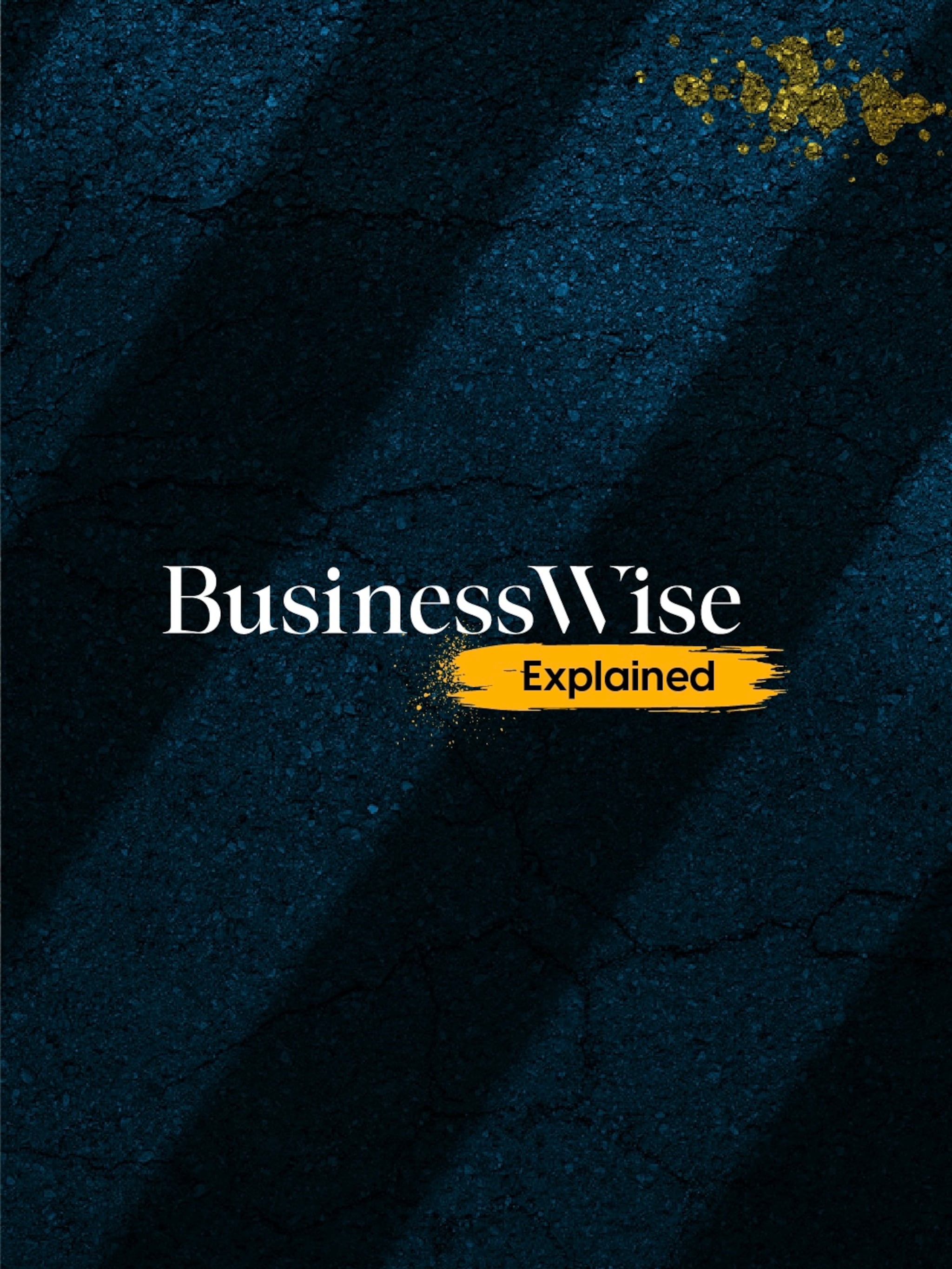 businesswise explained