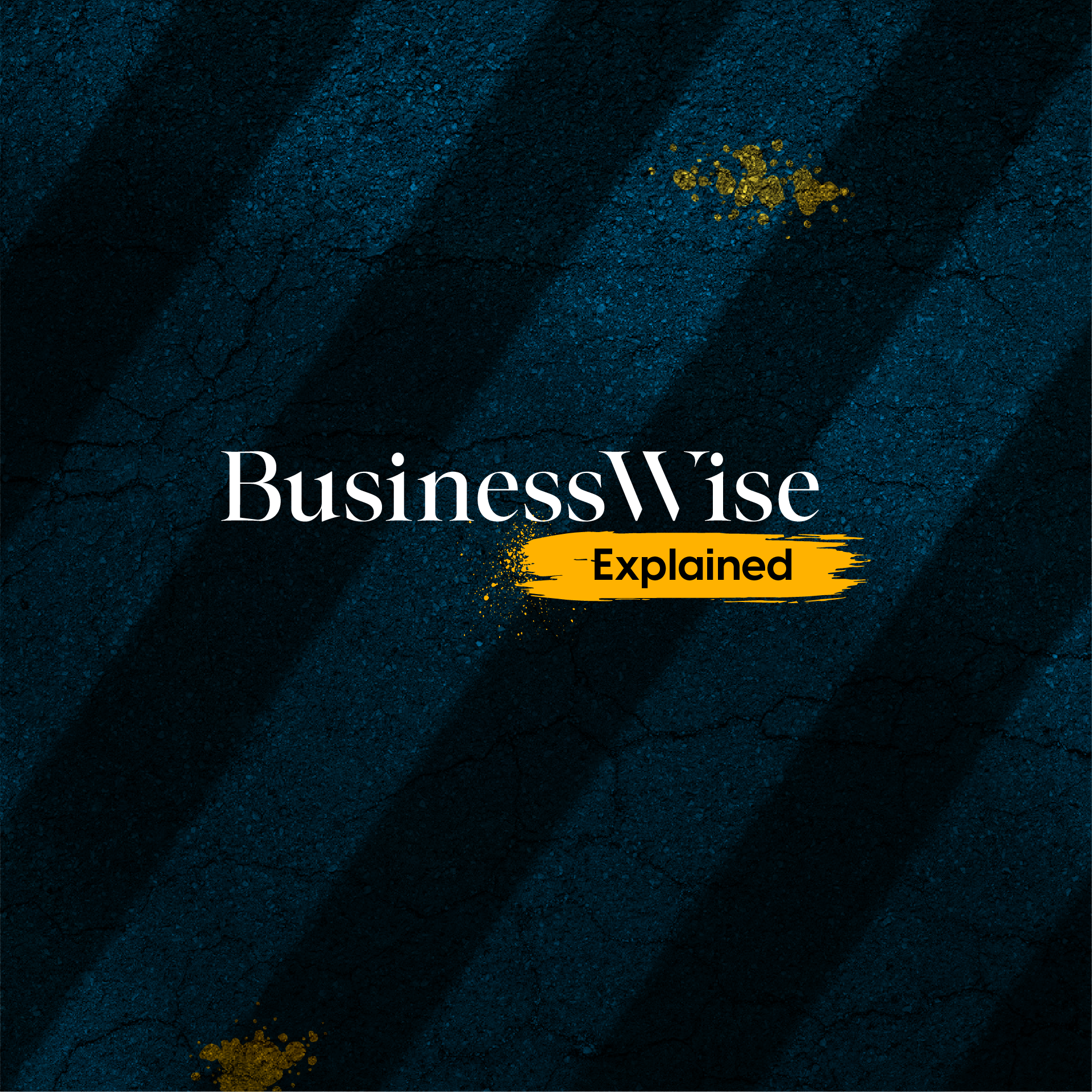 BusinessWise Explained BW