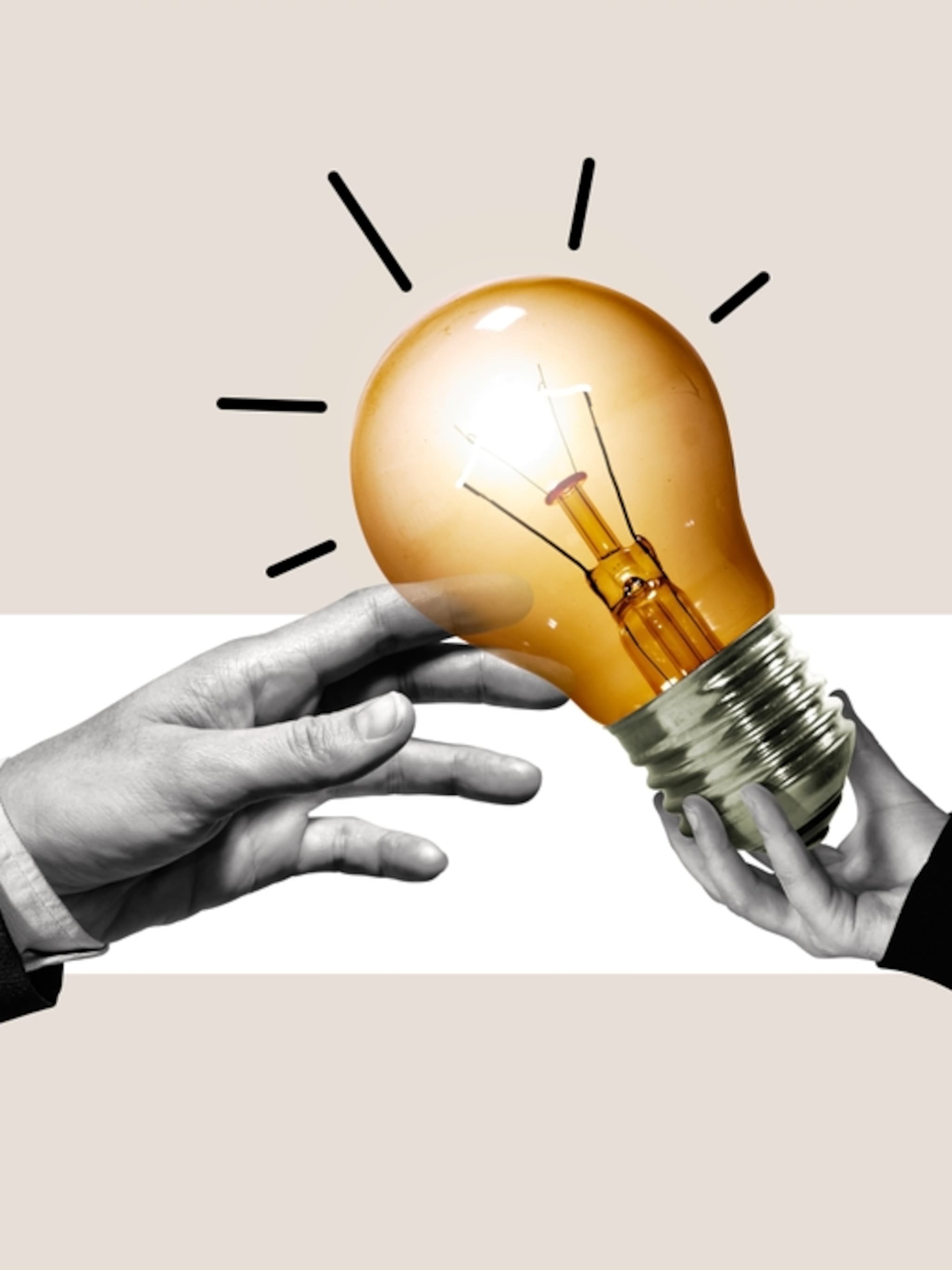 opties expats nederland stopt straffen startup ambitie