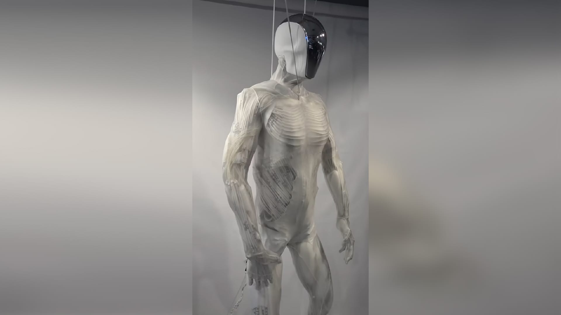 Foto: Clone Robotics. Dit is de robot ‘Protoclone’. Foto: Clone Robotics.