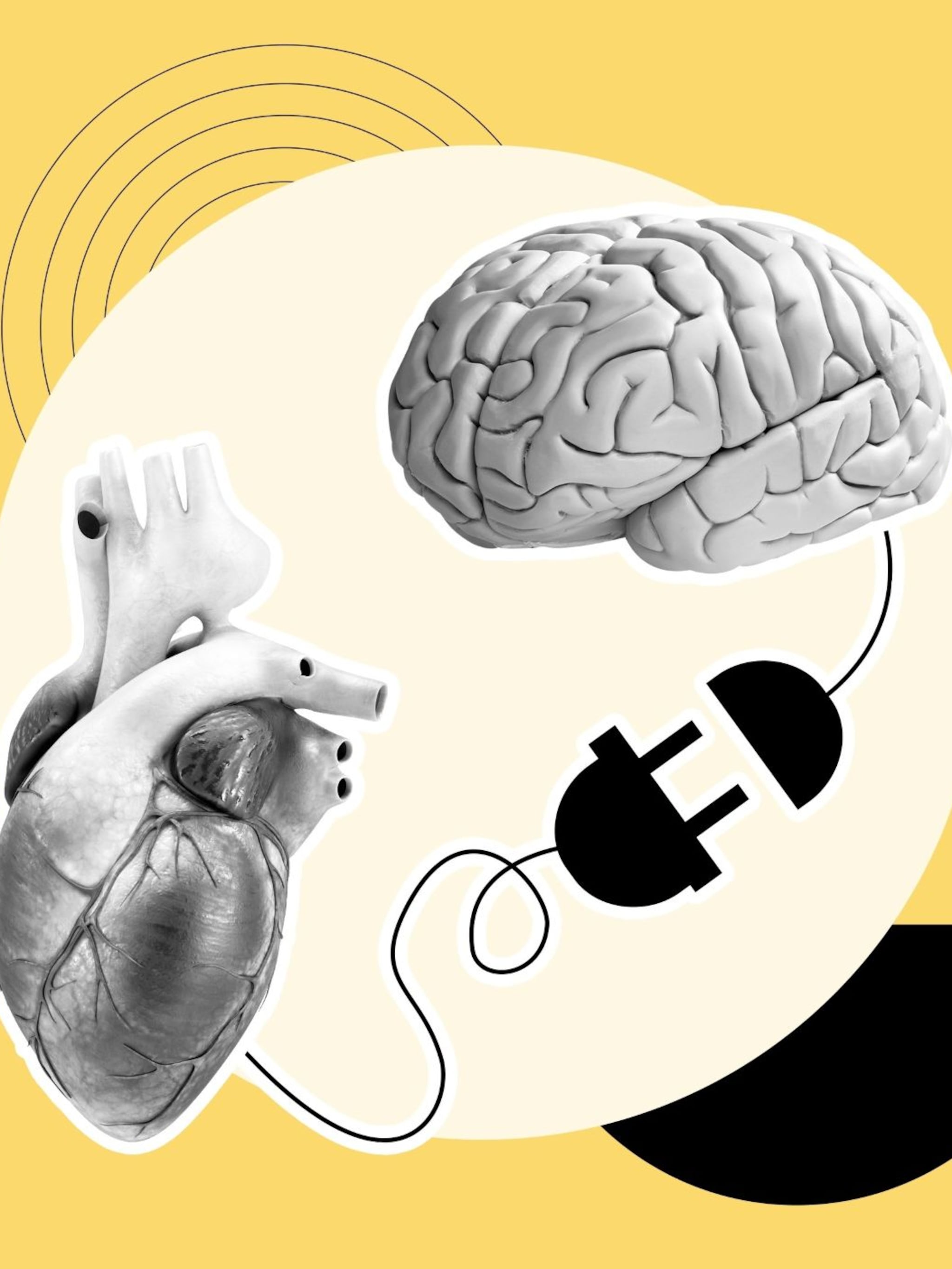 10 neurowetenschappelijke inzichten stress productiever worden