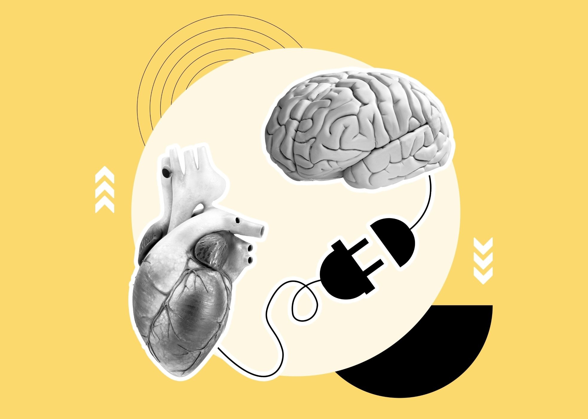 Neurowetenschappelijke inzichten. Foto: Shutterstock