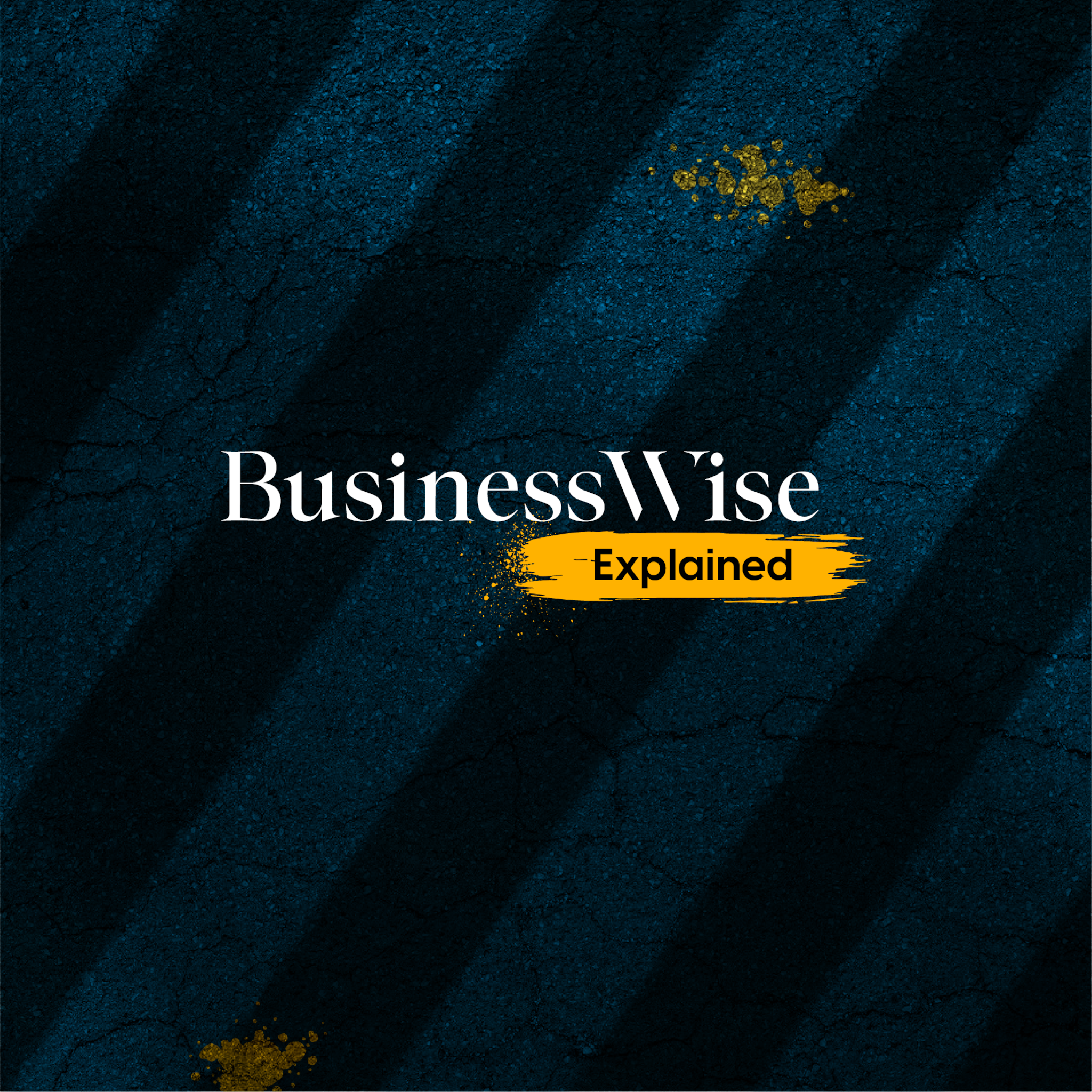 BusinessWise Explained