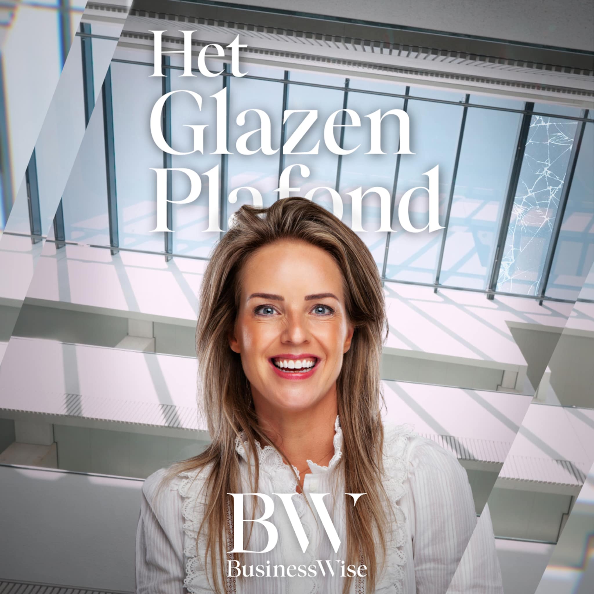 Het glazen plafond