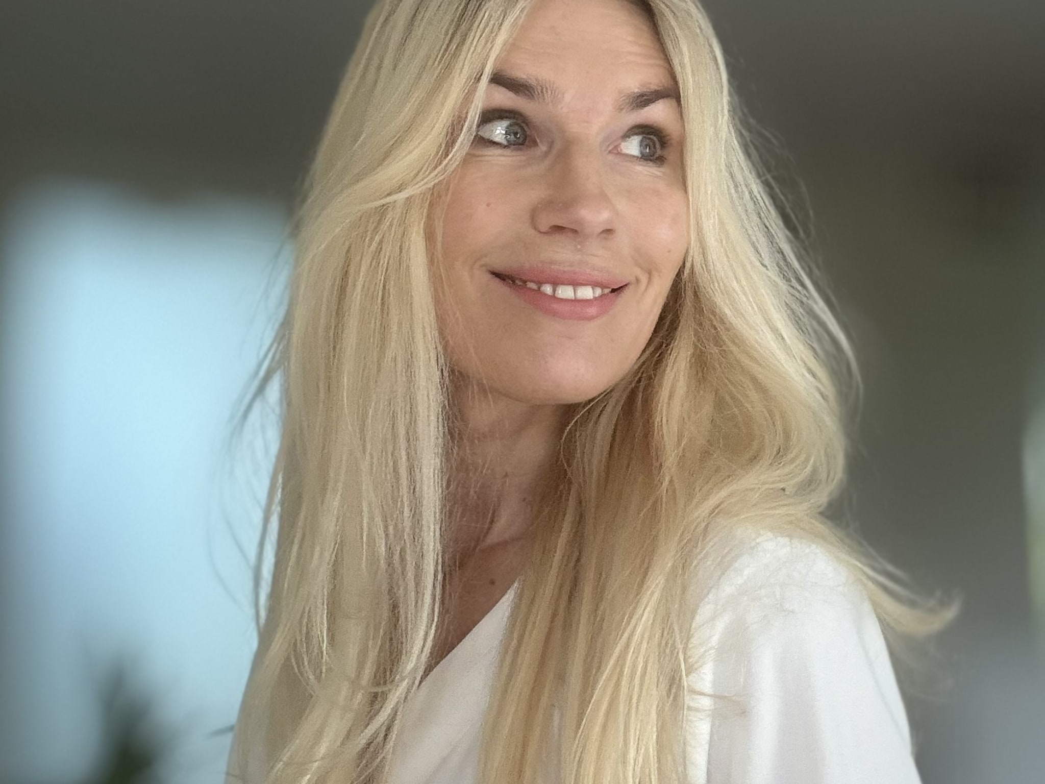 flowframe organisatiemodel ineke kooistra