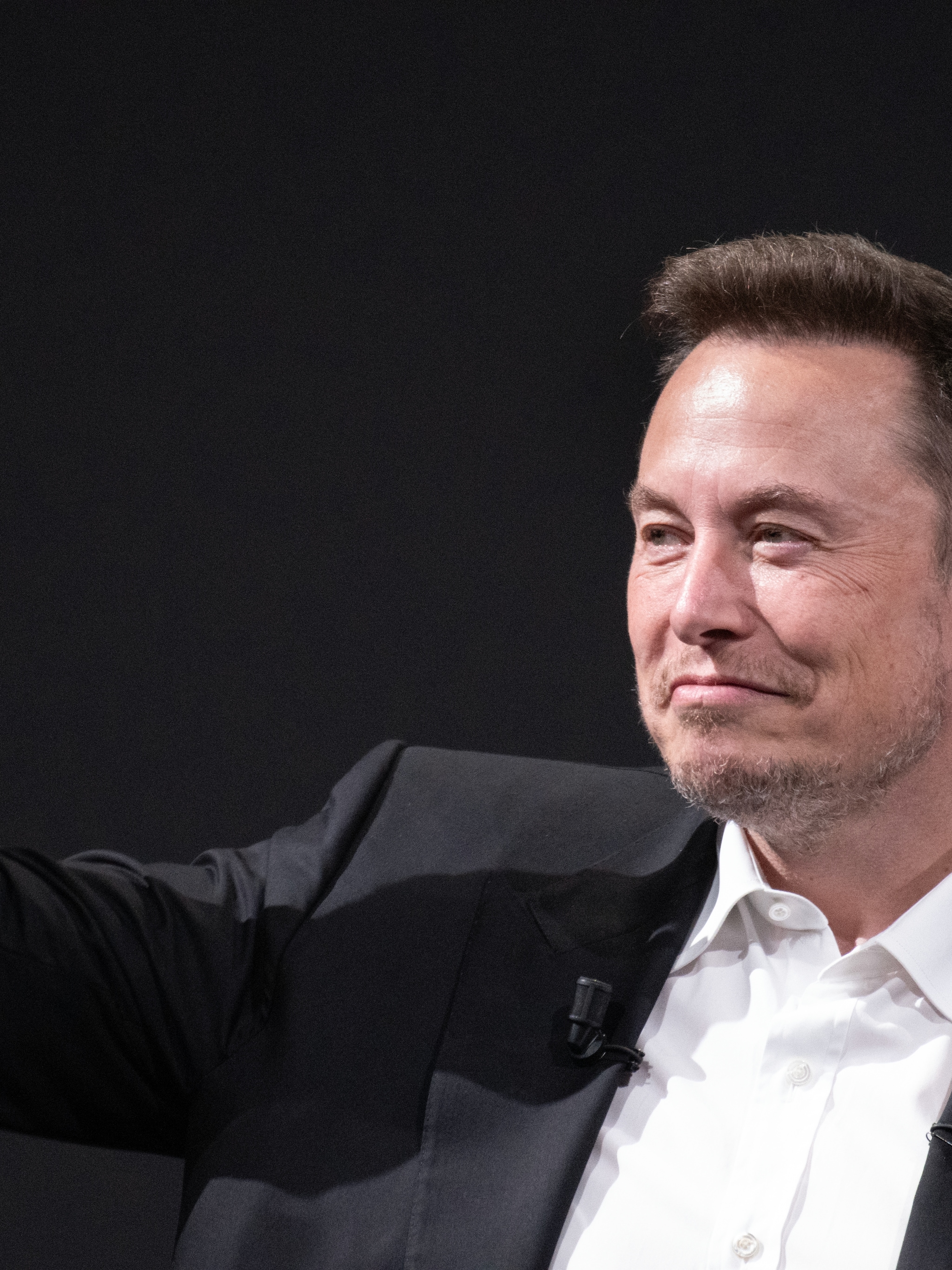 wat is macrohard het nieuwe bedrijf van elon musk