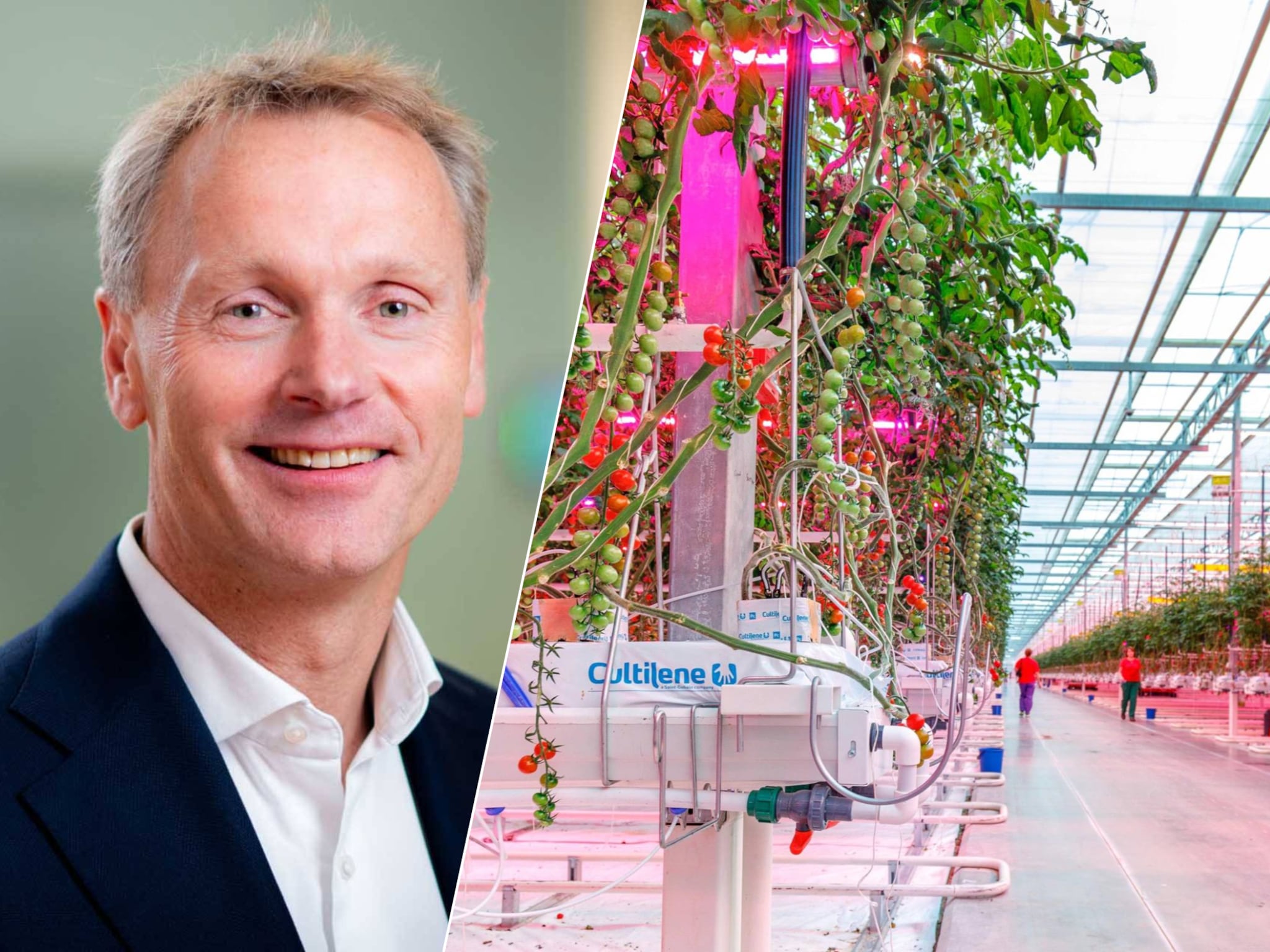 topman signify we kunnen en moeten duidelijker zijn over wat we strategisch willen