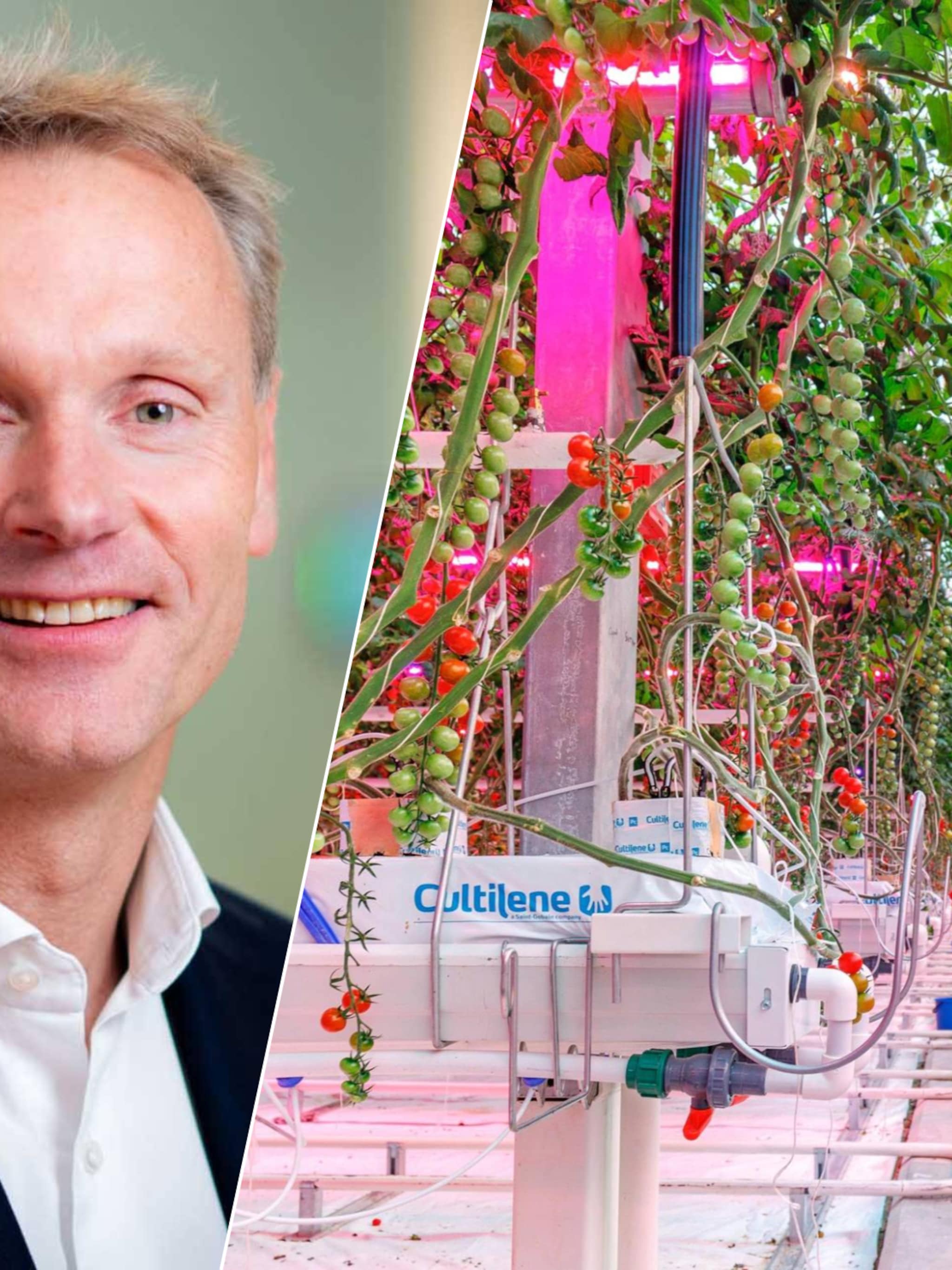 topman signify we kunnen en moeten duidelijker zijn over wat we strategisch willen