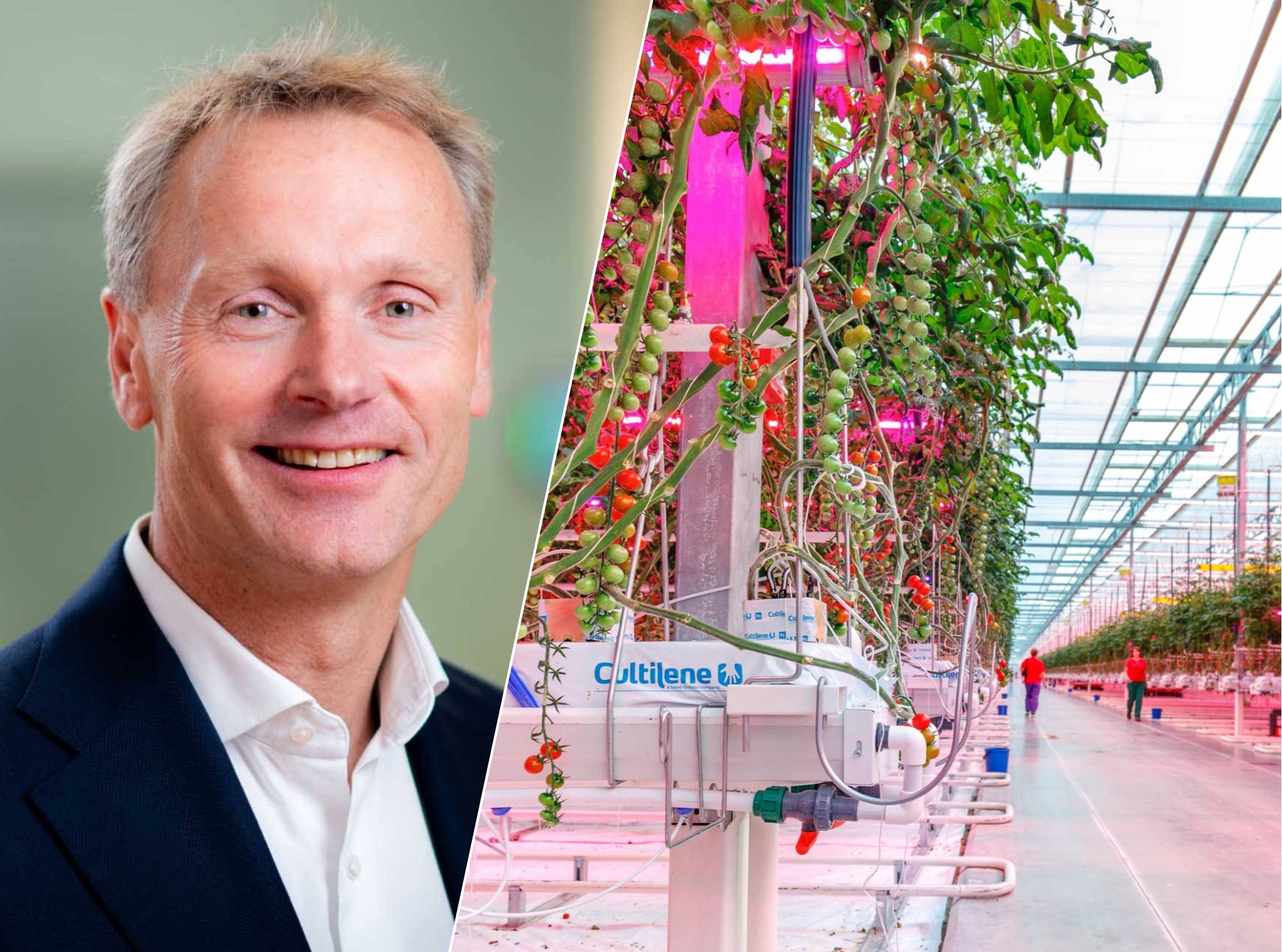 Signify levert ledverlichting die bloemen, tomaten en paprika’s sneller en goedkoper laten groeien. Links: As Tempelman, topman Signify. Signify levert ledverlichting die bloemen, tomaten en paprika’s sneller en goedkoper laten groeien. Links: As Tempelman, topman Signify. Foto’s: ED.