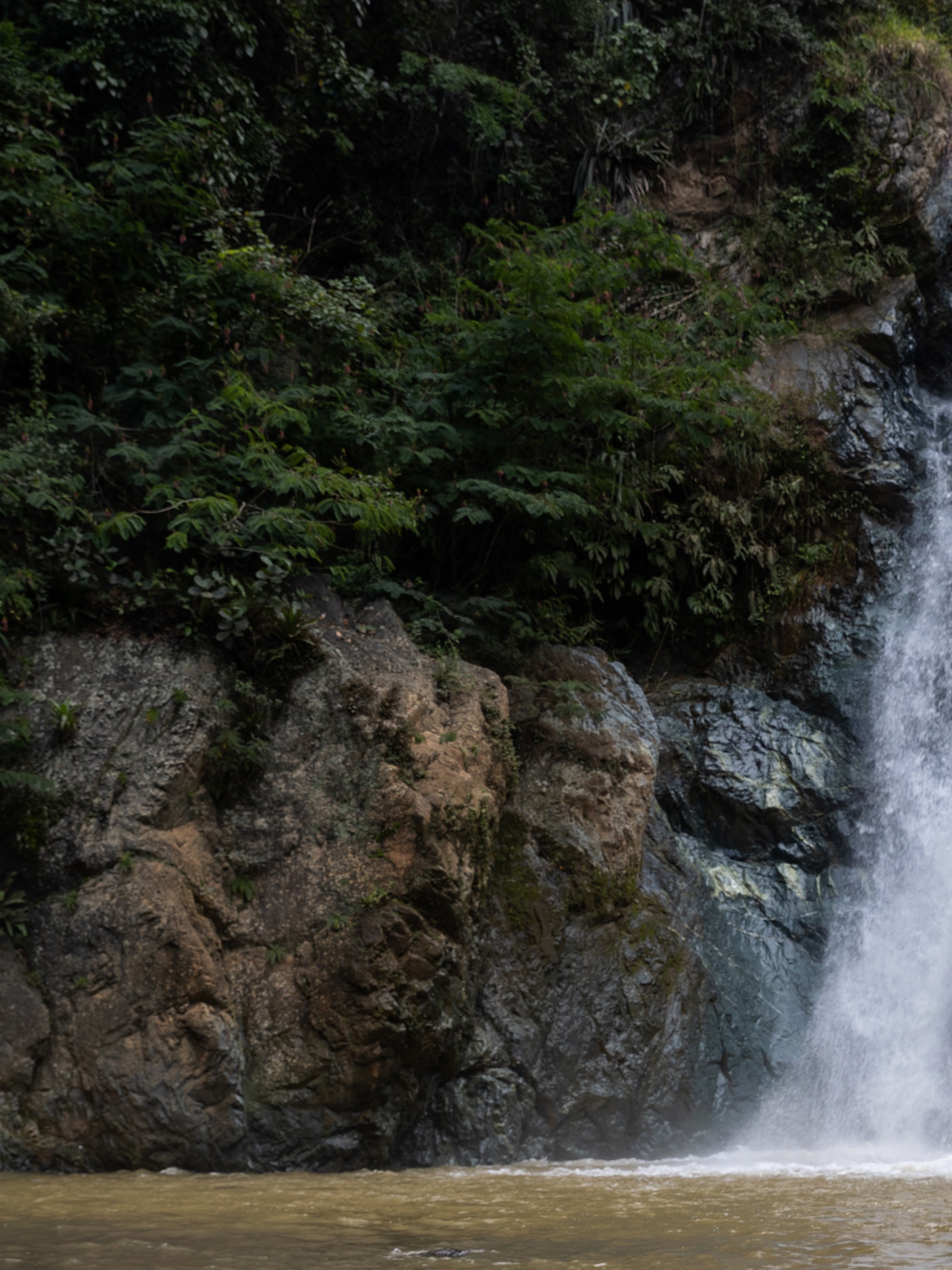 de waterval methode volgens expert en ervaringsdeskundige jeffrey bouva