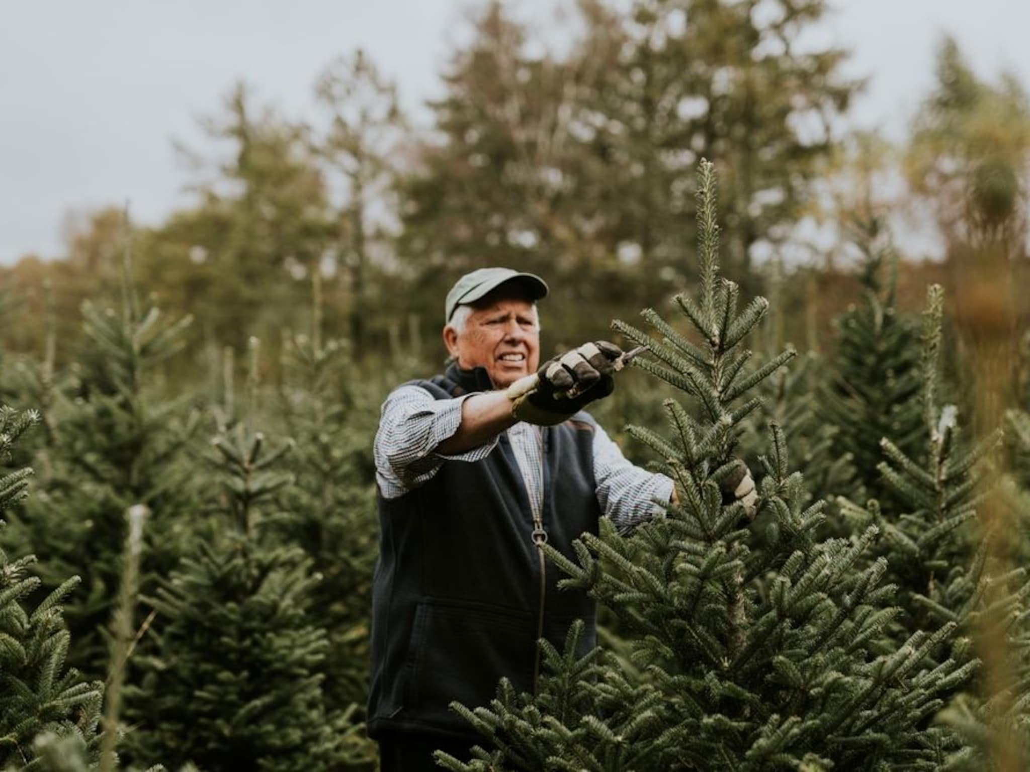 wat is de link tussen ai drones en kerstboomkwekerijen