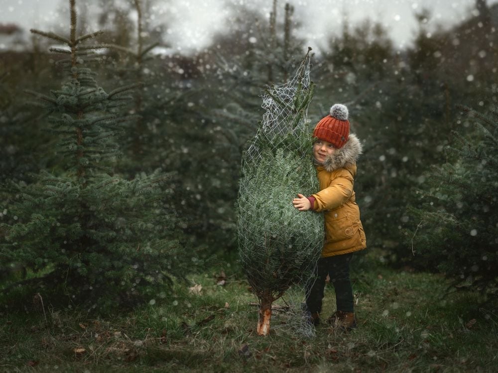 Kind met kerstboom, op weg naar huis. ... en op weg naar huis, voor een mooie plek. Foto: Shutterstock