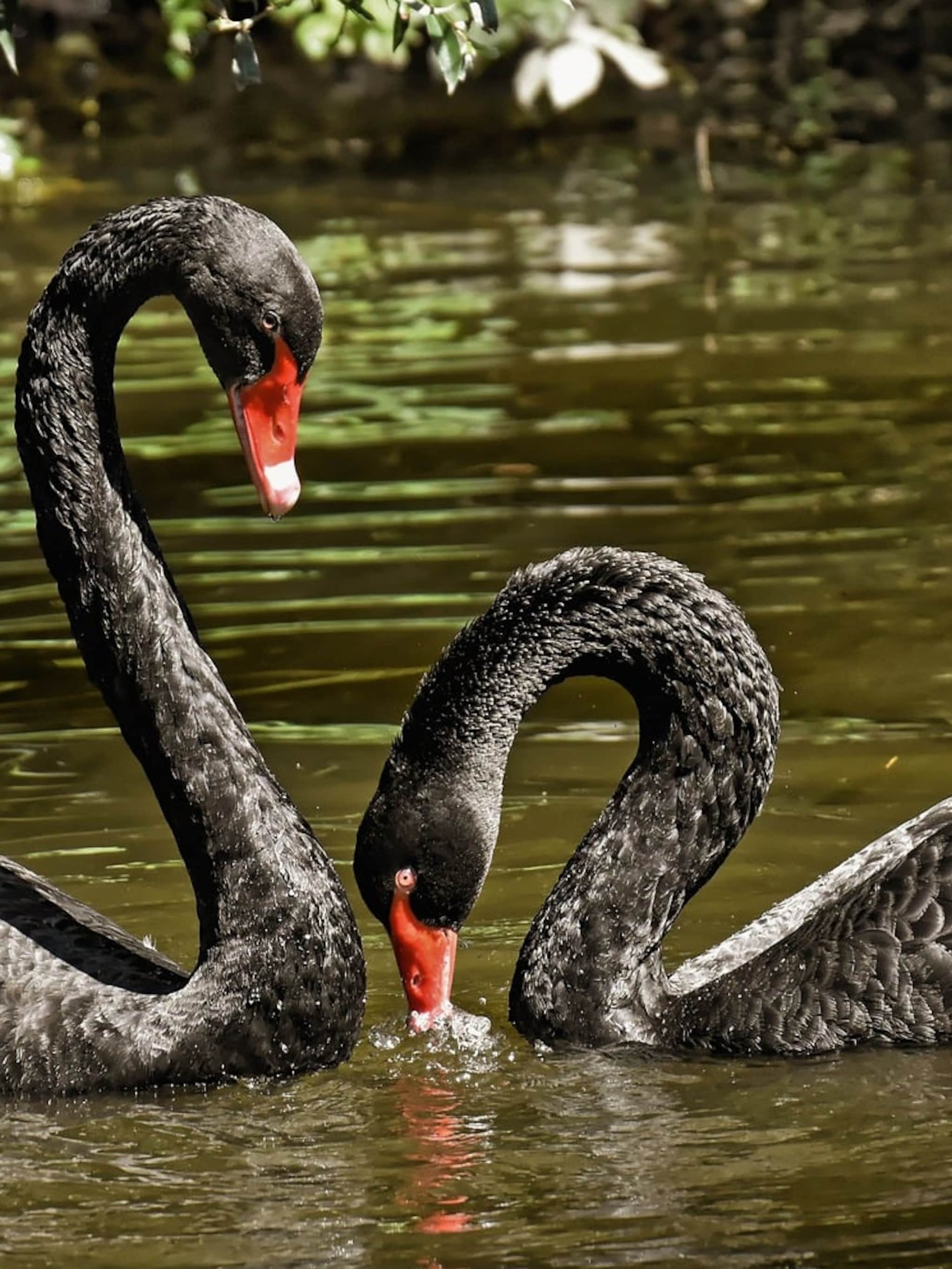 10 zwarte zwanen 2026 handelsconflicten inflatie ai