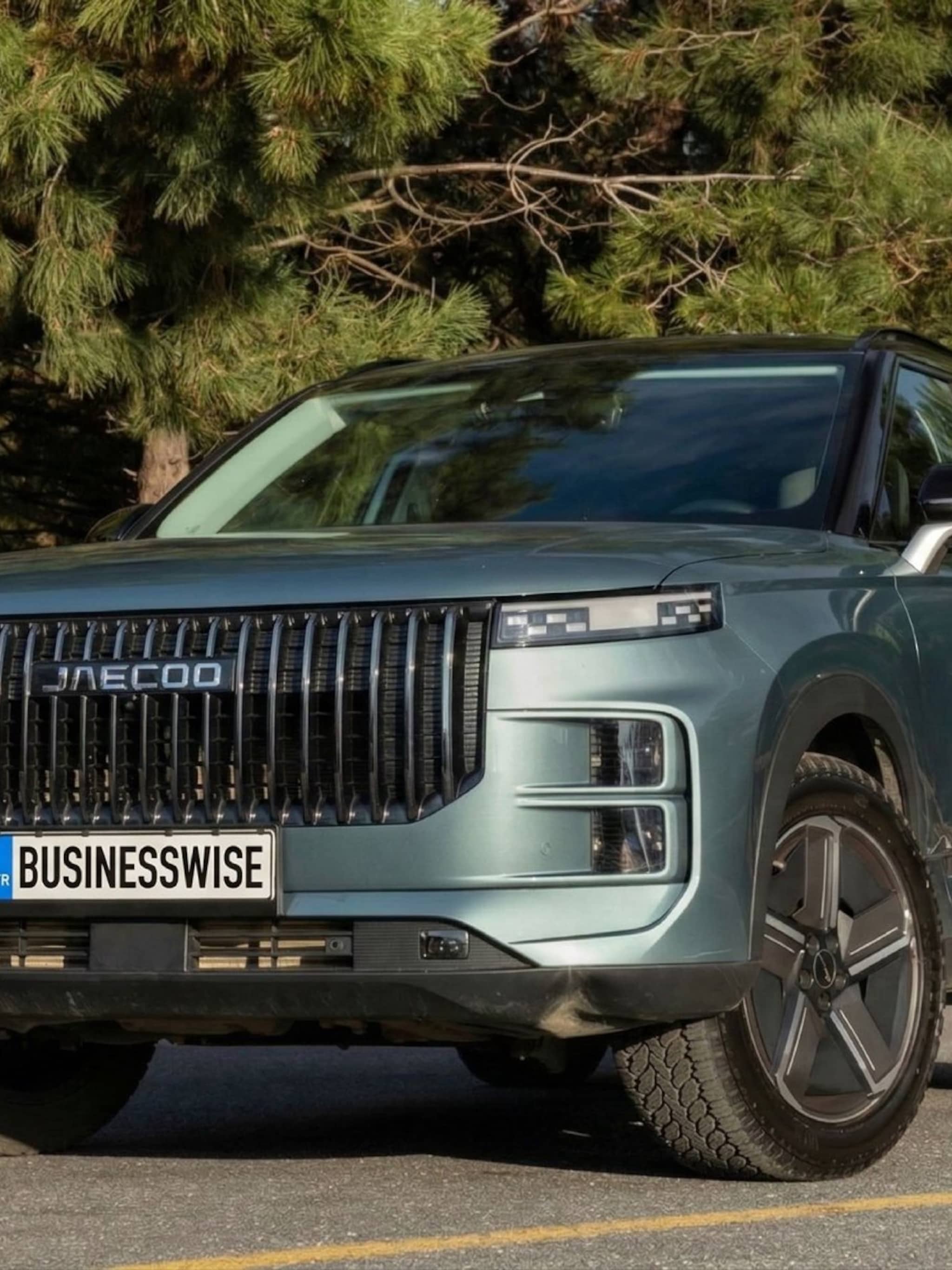 succes omodajaecoo nederland dealernetwerk