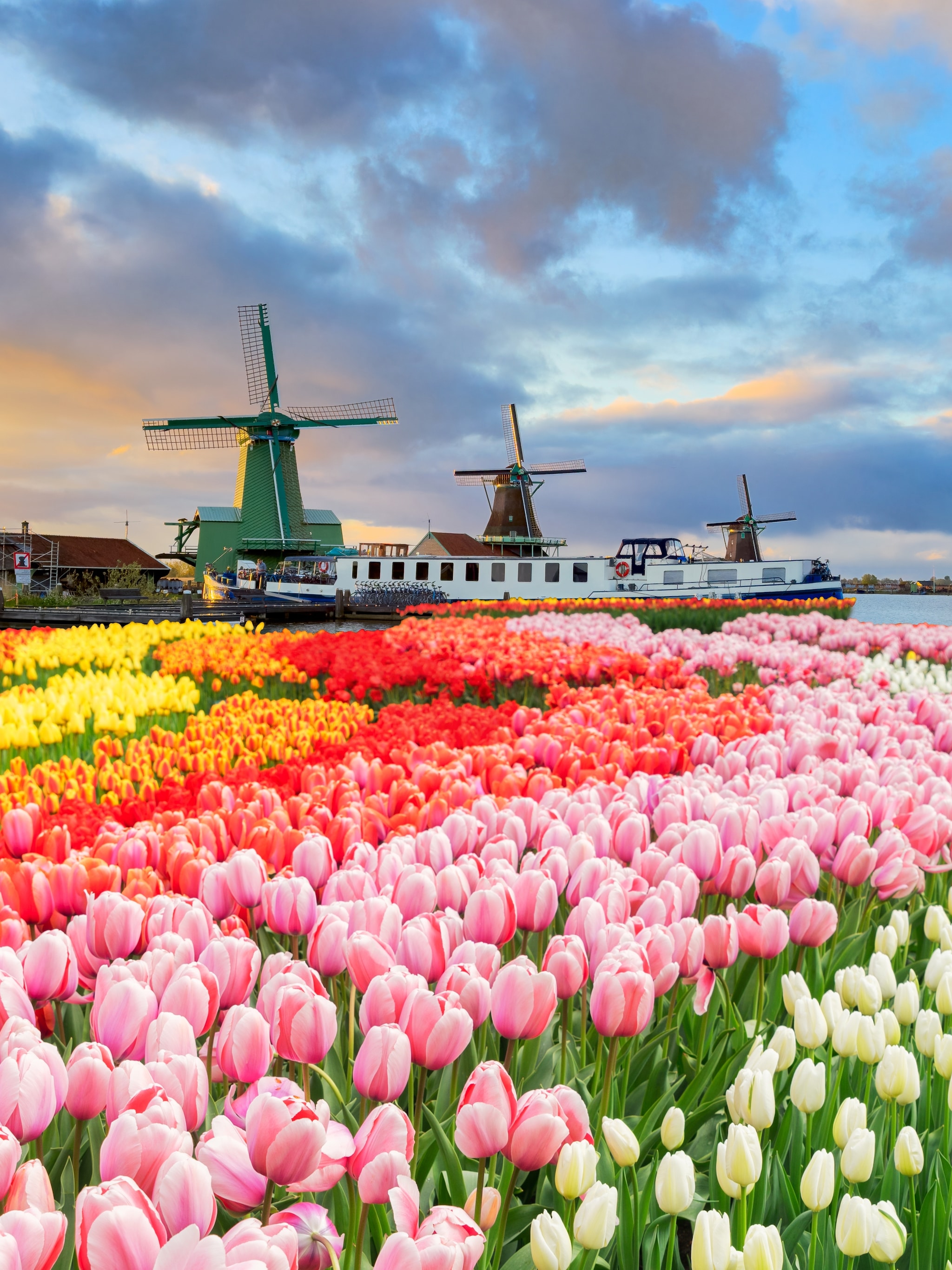 rabobank waarschuwt nederlandse economie stagneert