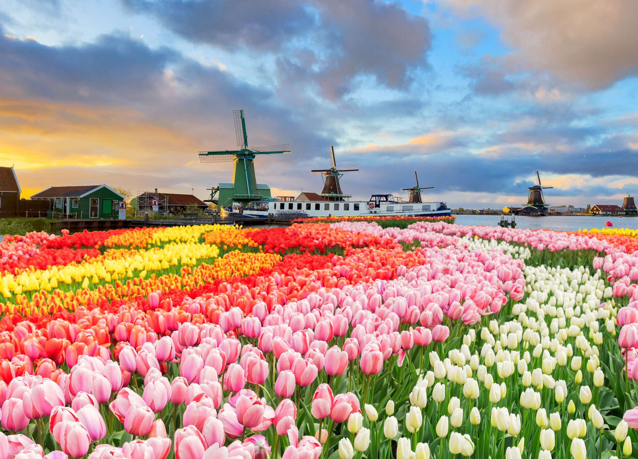 Rabobank luidt noodklok over Nederlandse economie.