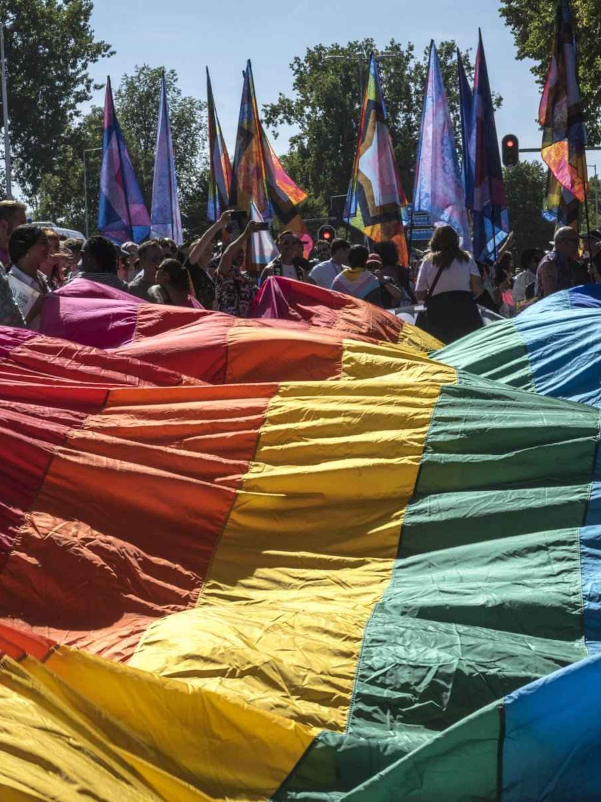 merken haken af bij pride purpose had nooit de toevoeging marketing moeten krijgen