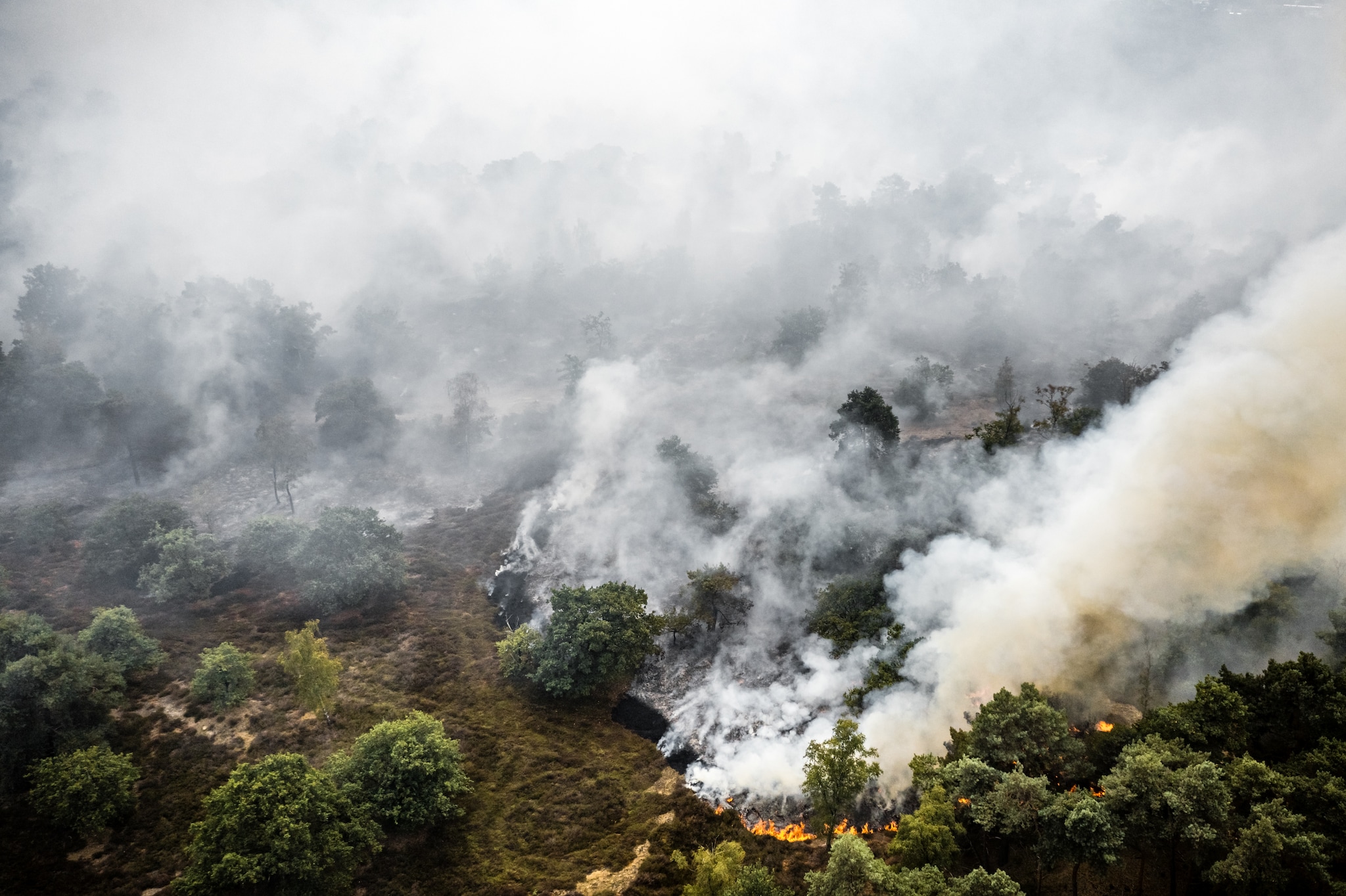 In natuurgebied De Rosmolen in Noord-Limburg woedde een zeer grote brand.
