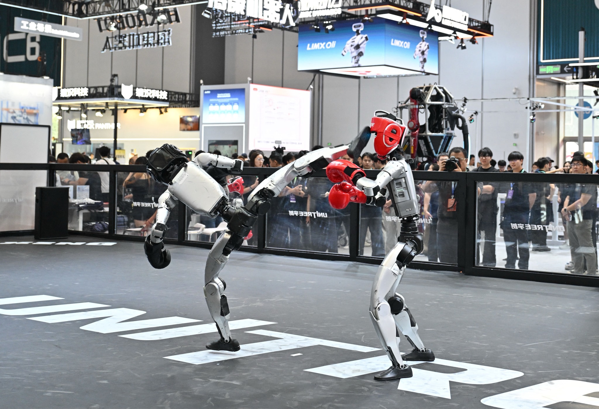 Twee Unitree robots doen een vechtdemonstratie tijdens de World Robot Conference 2026 in Beijing ANP / AFP